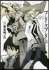 ブレイクブレイド 13