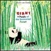 Giant: A Panda of the Enchanted Forest