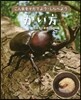 かい方