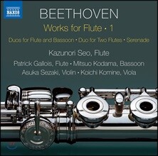 Kazunori Seo 베토벤: 플루트 작품 1집 - 플루트와 바순 이중주, 세레나데 외 (Beethoven: Works For Flute 1)