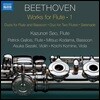 Kazunori Seo 베토벤: 플루트 작품 1집 - 플루트와 바순 이중주, 세레나데 외 (Beethoven: Works For Flute 1)