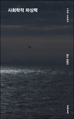사회학적 파상력