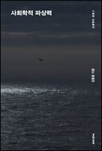사회학적 파상력