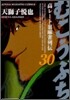 むこうぶち 30