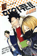 하이큐!! 소설판!! 8