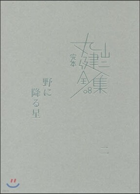 完本 丸山健二全集(8)野に降る星 2