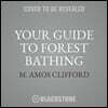 Your Guide to Forest Bathing: Experience the Healing Power of Nature