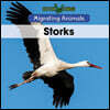 Storks