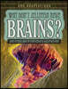 Why Don't Jellyfish Have Brains?: And Other Odd Invertebrate Adaptations