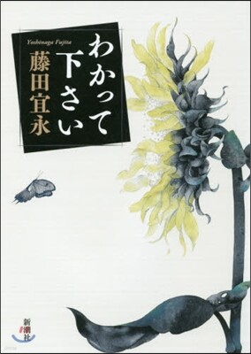 わかって下さい