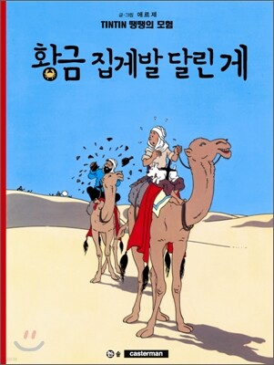 땡땡의 모험 9