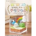 리멘트 스밋코 테라리움 (1BOX=6개)