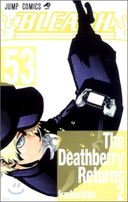 BLEACH ブリ-チ 53
