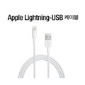 [Apple] 애플 정품 라이트닝 케이블 (MQUE2FE/A, 벌크x)
