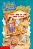 A Jigsaw Jones Mystery 18 : The Case of the Bear Scare