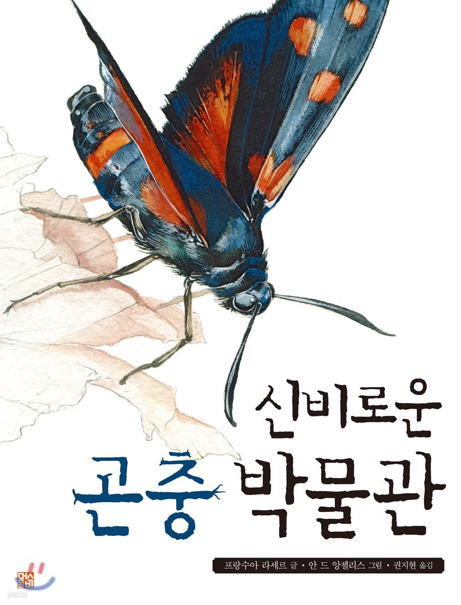 신비로운 곤충 박물관