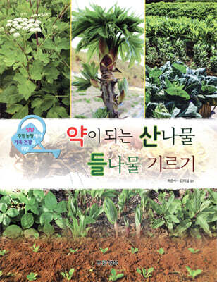 약이 되는 산나물 들나물 기르기