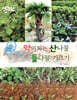 약이 되는 산나물 들나물 기르기