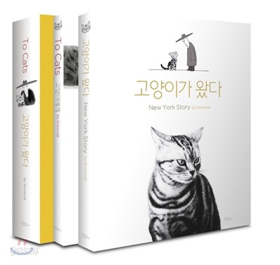 To Cats / 고양이가 왔다 세트