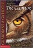 The Capture (Guardians of Ga'hoole #1): The Capture Volume 1