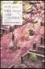 마지막 의사는 벚꽃을 바라보며 그대를 그리워한다