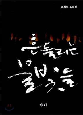 흔들리는 불빛들