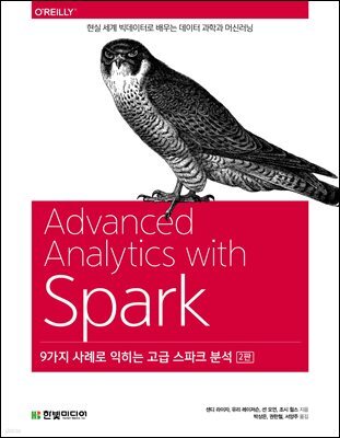 9가지 사례로 익히는 고급 스파크 분석 (2판)