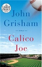 Calico Joe