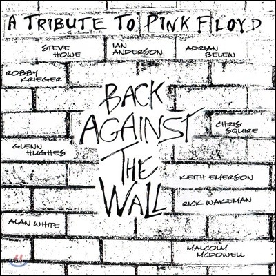 A Tribute To Pink Floyd - Back Against The Wall 핑크 플로이드 헌정 앨범 [2 LP]