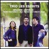 Trio Les Esprits 브람스: 피아노 삼중주 1번 / 드보르작: 피아노 삼중주 4번 ‘둠키’ (Brahms: Piano Trio Op.8 / Dvorak: Trio Op.90 'Dumky')