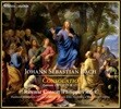 Ricercar Consort / Philippe Pierlot 바흐: 칸타타 - 콘솔라티오 (J.S. Bach: Consolatio - Cantatas BWV22, 75 & 127)