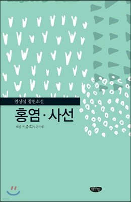 홍염 사선