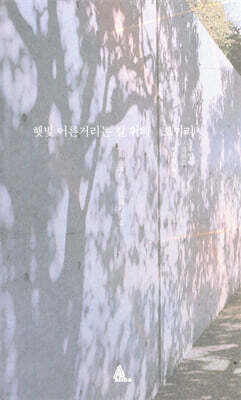 햇빛 어른거리는 길 위의 코끼리