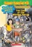 A Jigsaw Jones Super Special 3 : The Case of the Missing Falcon