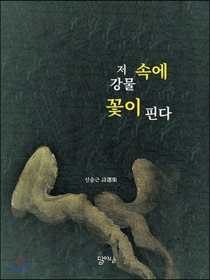 저 강물 속에 꽃이 핀다