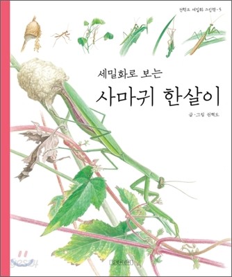 세밀화로 보는 사마귀 한살이