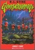 Original Goosebumps #45 : Ghost Camp
