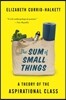 The Sum of Small Things: A Theory of the Aspirational Class
