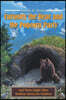 Curiosity the Bear and the Popcorn Party: And Thirty-Eight Other Bedtime Stories for Children