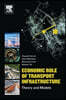 Economic Role of Transport Infrastructure: Theory and Models