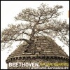 Quatuor Mosaiques 베토벤: 후기 현악 사중주집 12-16번 - 모자이크 사중주단 (Beethoven: The Late Quartets)