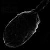 Retox - Ugly Animals (LP)