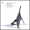 Philippe Herreweghe 드보르작: 스타바트 마테르 - 필립 헤레베헤 (Dvorak: Stabat Mater Op.58) [2LP]