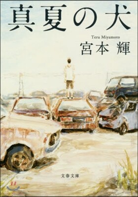 眞夏の犬 新裝版