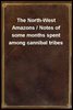 The North-West Amazons / Notes of some months spent among cannibal tribes
