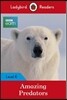 Ladybird Readers Level 6 - BBC Earth - Amazing Predators (ELT Graded Reader )