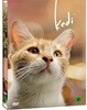 고양이 케디 (1Disc)