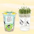 (내 손으로 키워먹는 건강새싹) 한컵새싹농장_유채