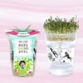 (내 손으로 키워먹는 건강새싹) 한컵새싹농장_알팔파