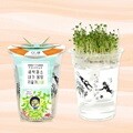 (내 손으로 키워먹는 건강새싹) 한컵새싹농장_다채
